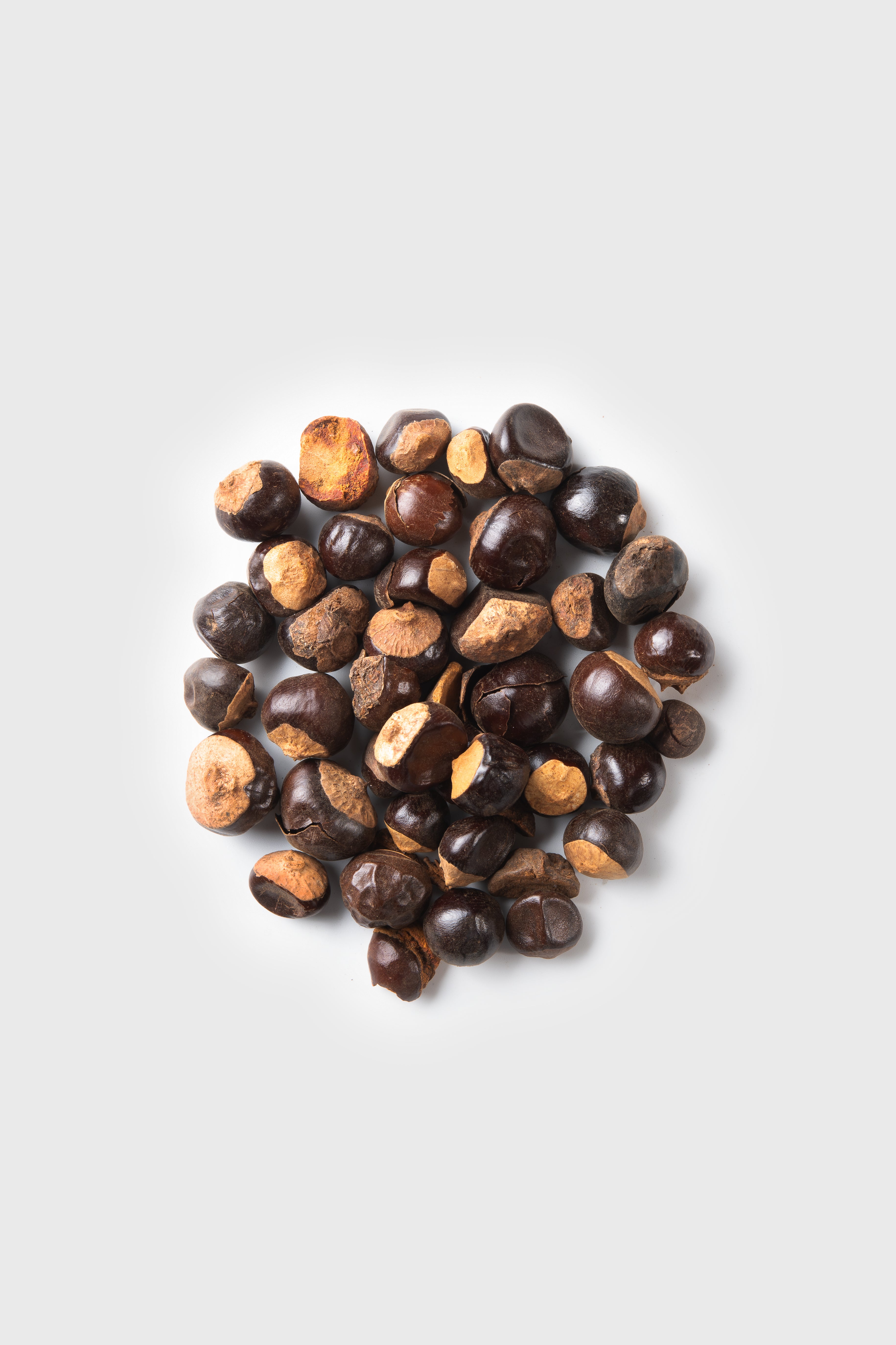 Guarana Seed Extract